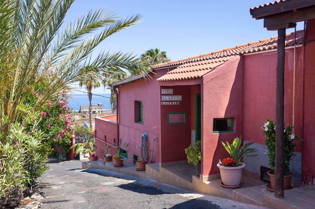 Finca La Gaviota - Las Flores Icod De Los Vinos Exteriör bild